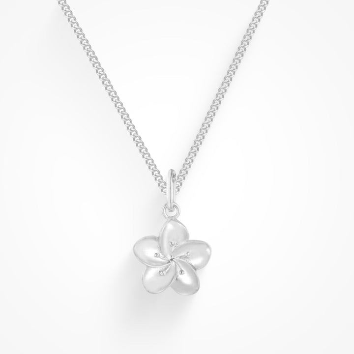 Colar de Hibisco
